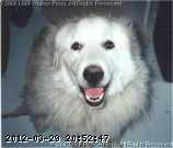 sm-scanner-2-may-30-01.jpg