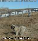 2009-04-12-032.jpg