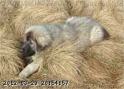 2009-05-09_17-50-15_299.jpg