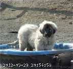 2009-05-09_17-55-35_321.jpg