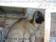 2009-05-18_16-35-04_225.jpg