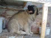 2009-05-18_16-35-51_230.jpg