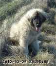 2009-05-23_08-59-09_262.jpg