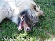 2009-05-31_11-16-33_185.jpg