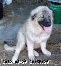 2009-05-31_11-20-42_195.jpg