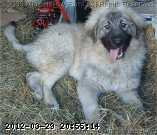 2009-06-09_12-42-41_186.jpg