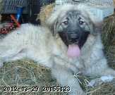 2009-06-09_12-42-58_188.jpg