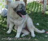 2009-06-09_12-45-17_196.jpg
