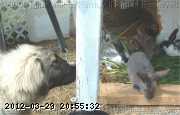 2009-06-12_11-47-31_208.jpg