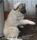 2009-06-22_11-14-25_001.jpg
