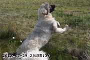 2009-07-29_10-16-20.jpg