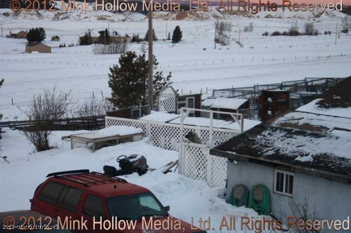 2010-01-08_09-42-23_wm.jpg