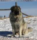 2010-01-08_13-14-19b_wm.jpg