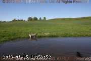 2010-06-12_17-34-27_wm.jpg