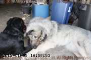 2010-06-28_12-49-46_wm.jpg