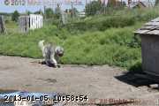 2010-07-18_11-05-26_wm.jpg