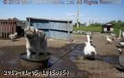 2010-07-25_11-37-06_wm.jpg