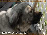 2010-08-04_11-56-45_002.jpg
