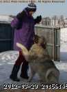 2010-12-11_12-36-19-02b.jpg
