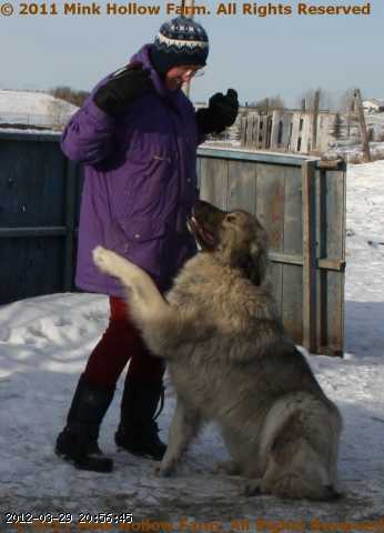 2010-12-11_12-36-19-02b.jpg
