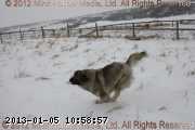 2011-02-07_13-28-01_wm.jpg