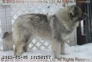 2011-03-26_12-08-03_002_wm.jpg