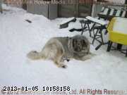 2011-03-29_12-53-51_wm.jpg