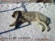 2011-03-30_11-28-41_wm.jpg