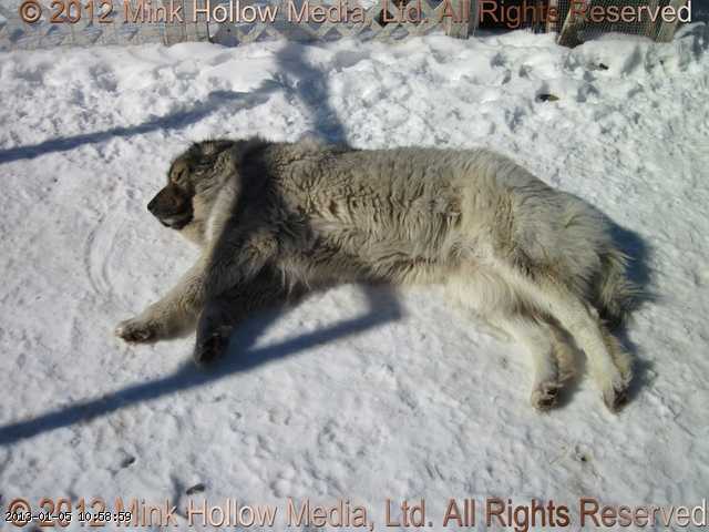 2011-03-30_11-28-41_wm.jpg