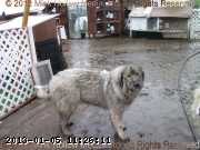 2011-05-26_11-33-28_wm.jpg