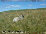 2011-08-01_12-39-06_wm.jpg