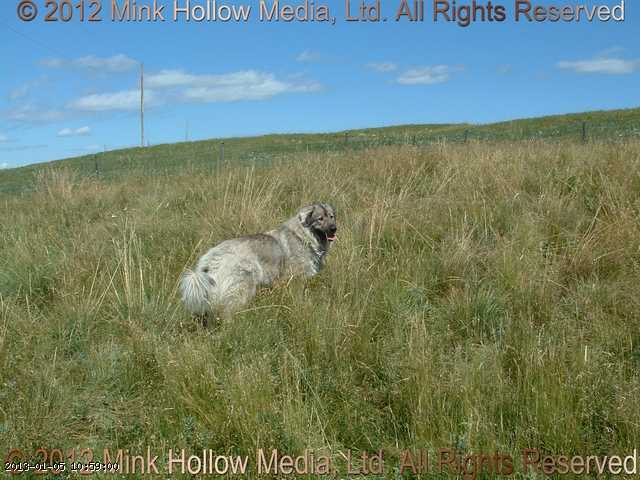 2011-08-01_12-39-06_wm.jpg