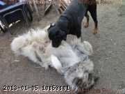2011-08-17_09-36-32_wm.jpg