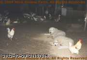 2005-10-06_19-21-57_001.jpg