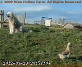 2006-06-05_20-13-40_001.jpg