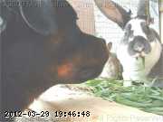 2009-06-12_11-48-03_213.jpg