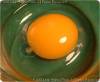 This image has the chalazae marked.
