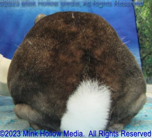 grizz-2023-07-17-11-56-16_wm.jpg grizz-2023-07-17-11-56-16_wm.jpg
