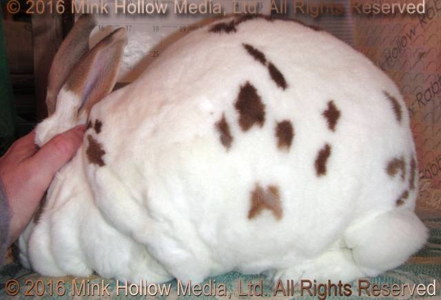 0-main.jpg 0-main.jpg