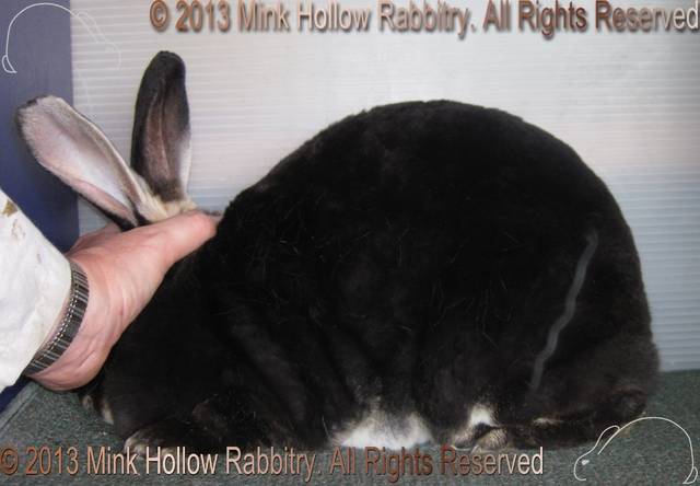 s-eva-2013-09-21_11-59-03_wm.jpg s-eva-2013-09-21_11-59-03_wm.jpg