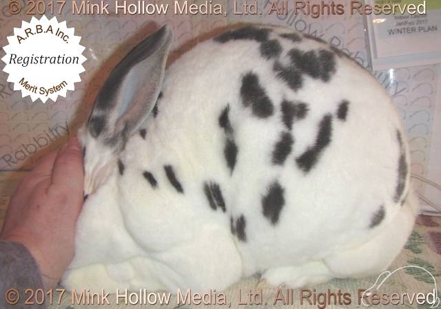 0-main.jpg 0-main.jpg