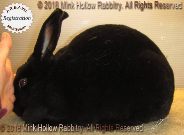 0-main.jpg 0-main.jpg