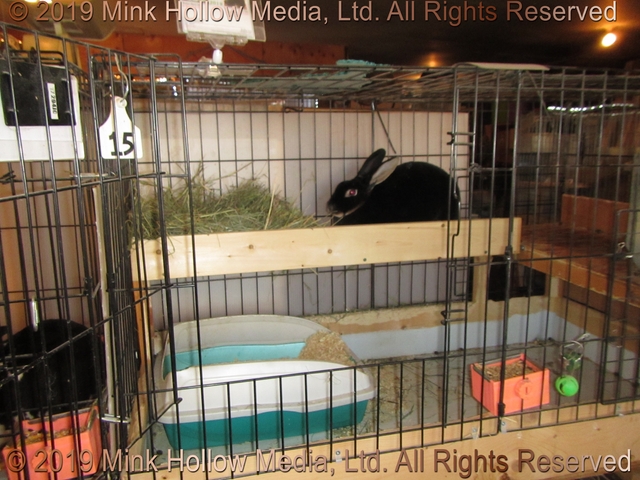cage_15_rebuild-2019-03-21-19-21-17_wm.jpg cage_15_rebuild-2019-03-21-19-21-17_wm.jpg