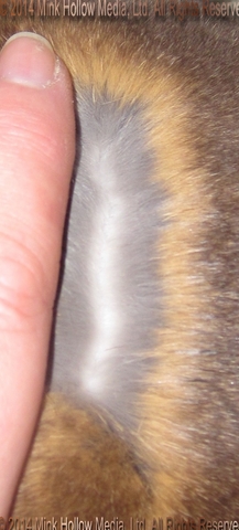 uid2-2014-01-21_13-46-28b_wm.jpg uid2-2014-01-21_13-46-28b_wm.jpg