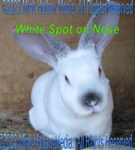 2012-02-12-13-58-18c_wm.jpg 2012-02-12-13-58-18c_wm.jpg