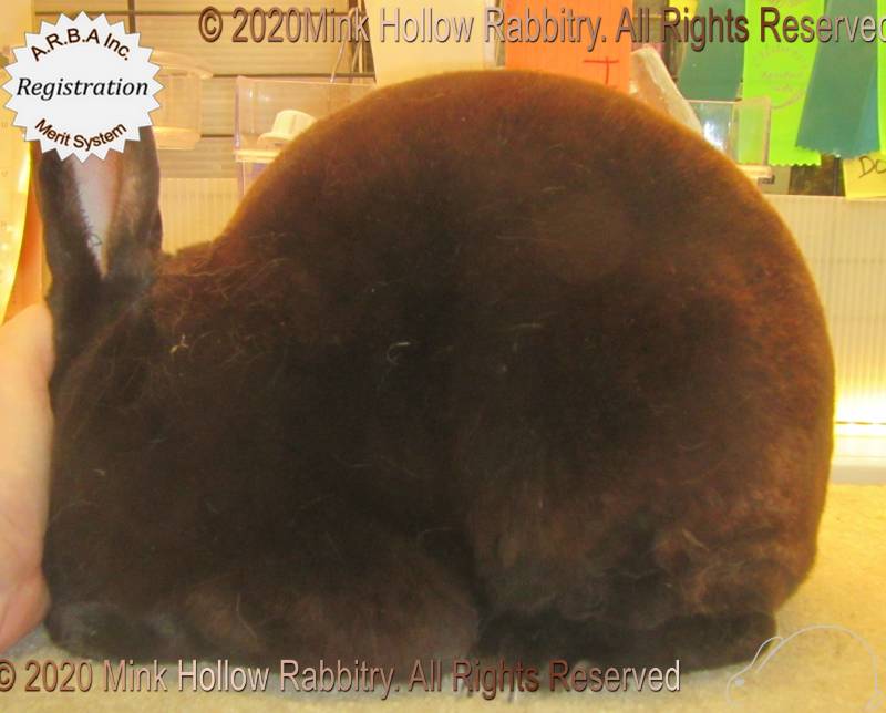 0-main.jpg 0-main.jpg