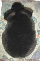 zuul-2017-05-25_17-23-35_wm.jpg