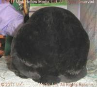 zuul-2017-05-25_17-23-41_wm.jpg