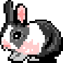 rabbit-1.gif