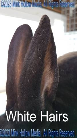 97894697_249860896073725_1098657221341872128_n_wm.jpg 97894697_249860896073725_1098657221341872128_n_wm.jpg